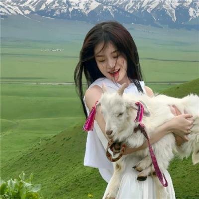 帐棚顶上的马戏团艺人